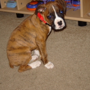 lincoln_9_5_weeks_013_00