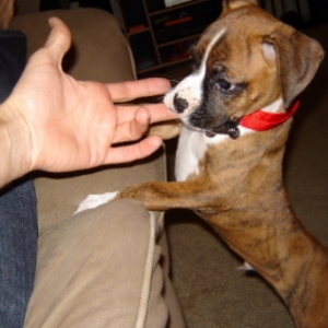 lincoln_9_5_weeks_010_00