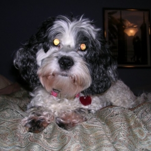 Lucy