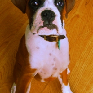 My Handsome Zebedee...Love Him!!