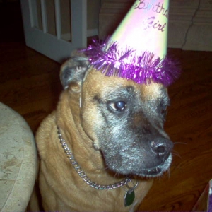 Isis in her hat on her 11th Birthday!