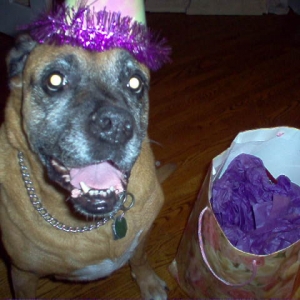 Come on, open my presetn already!!!