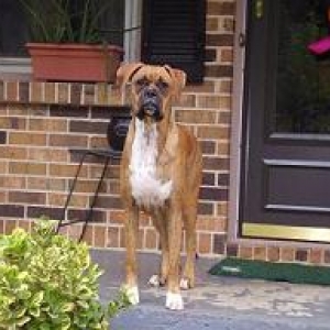 lucy front door