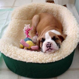 first_day_home