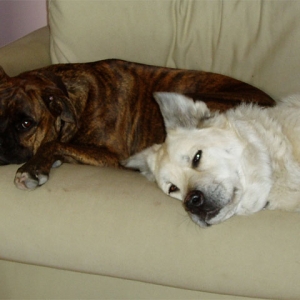 Sleepy Time