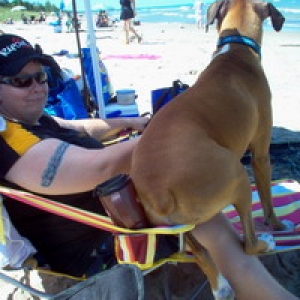 Jake chillin at the beach