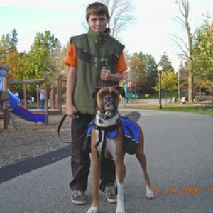 Walk in the Park