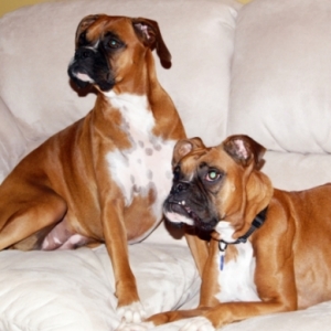 Gracie and Isabtelle