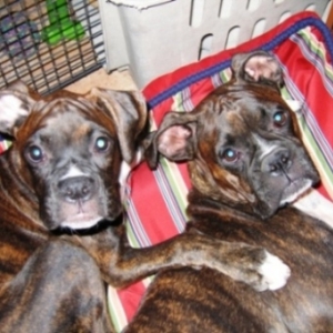 My little loves...