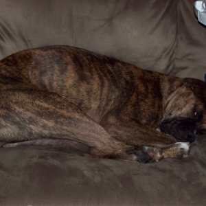How comfortable can this really be?!!?