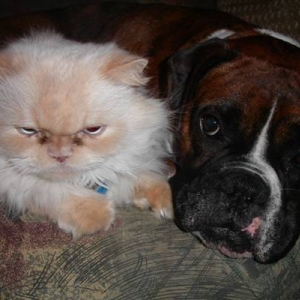 Rosco and Gizmo