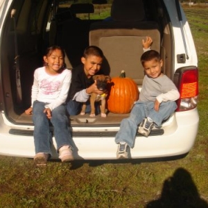 @ Pumpkin Patch