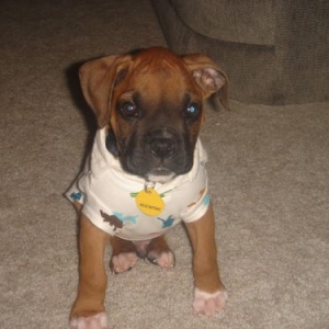 Why must Mommy embarass me?