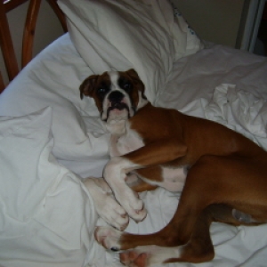 Zeb all cosy!