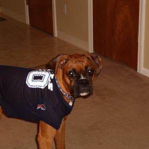 Ready for Sunday