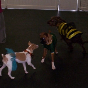 Party On Molley!