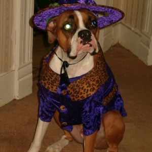 Riley Halloween 2006