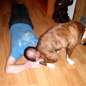 Sit Rosco Sit