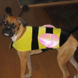 Trick-or-Treat