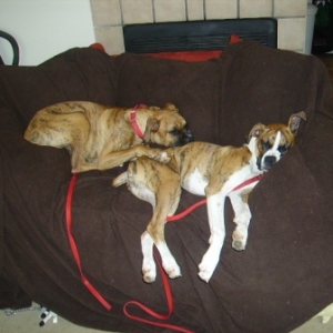 The sleepy heads