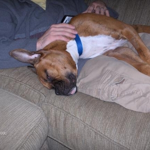Foster Boy