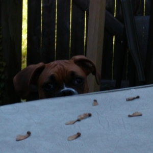 I see you.