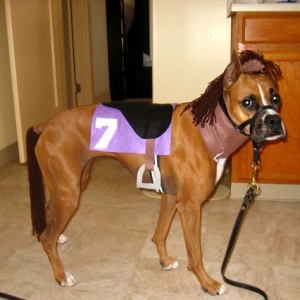 Halloween 2006