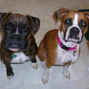 Kilbane and Jazzy