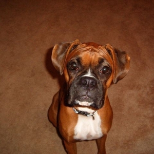 Little Man