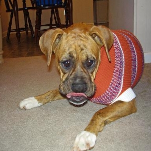 lip licking good