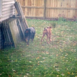 Cute Butts!