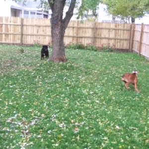 Run!!!!