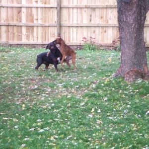Gotcha!!!