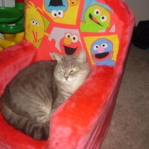 you just thought it was your chair