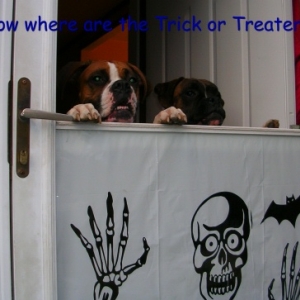Halloween 06