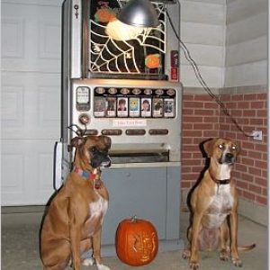 Halloween