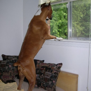 Being Nosy