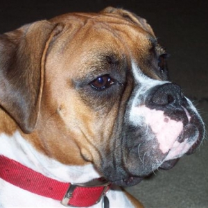 Samantha - 16 Month's Old