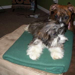 Bailey checking it out