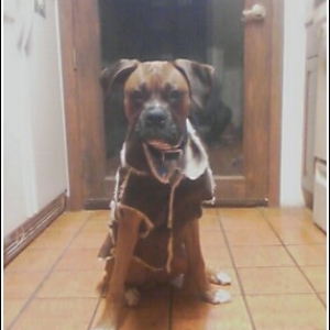 D's new coat
