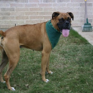 New rescue boy