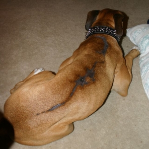 Scars add character.