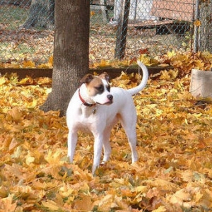 Hannah - Fall 2006