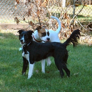 Hannah and Patches