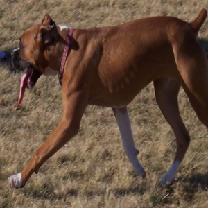 Riley_7mos