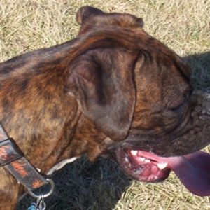 Max_14mos