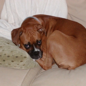 All curled up