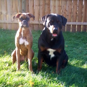 Kaybie & Rex