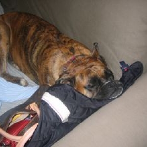 Sophie sleeping