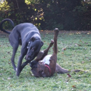On Your Back Mate